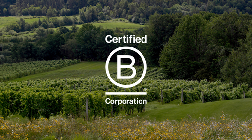 B Corp logo with Image background