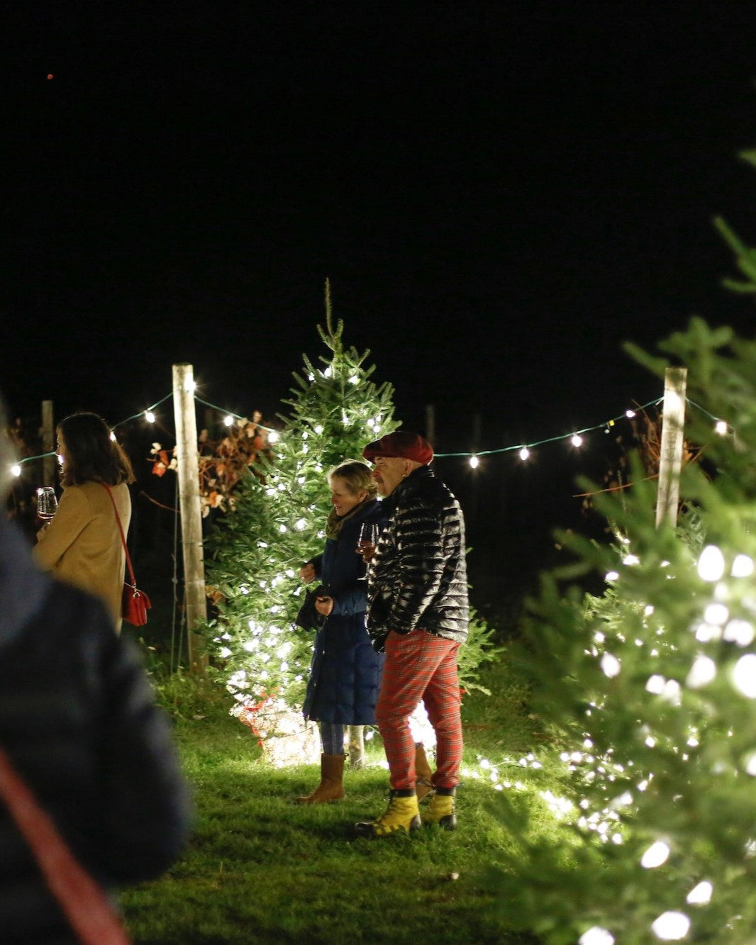 COCKTAILS & HOLIDAY LIGHTS | Saturday, November 22nd | 7pm to 9pm