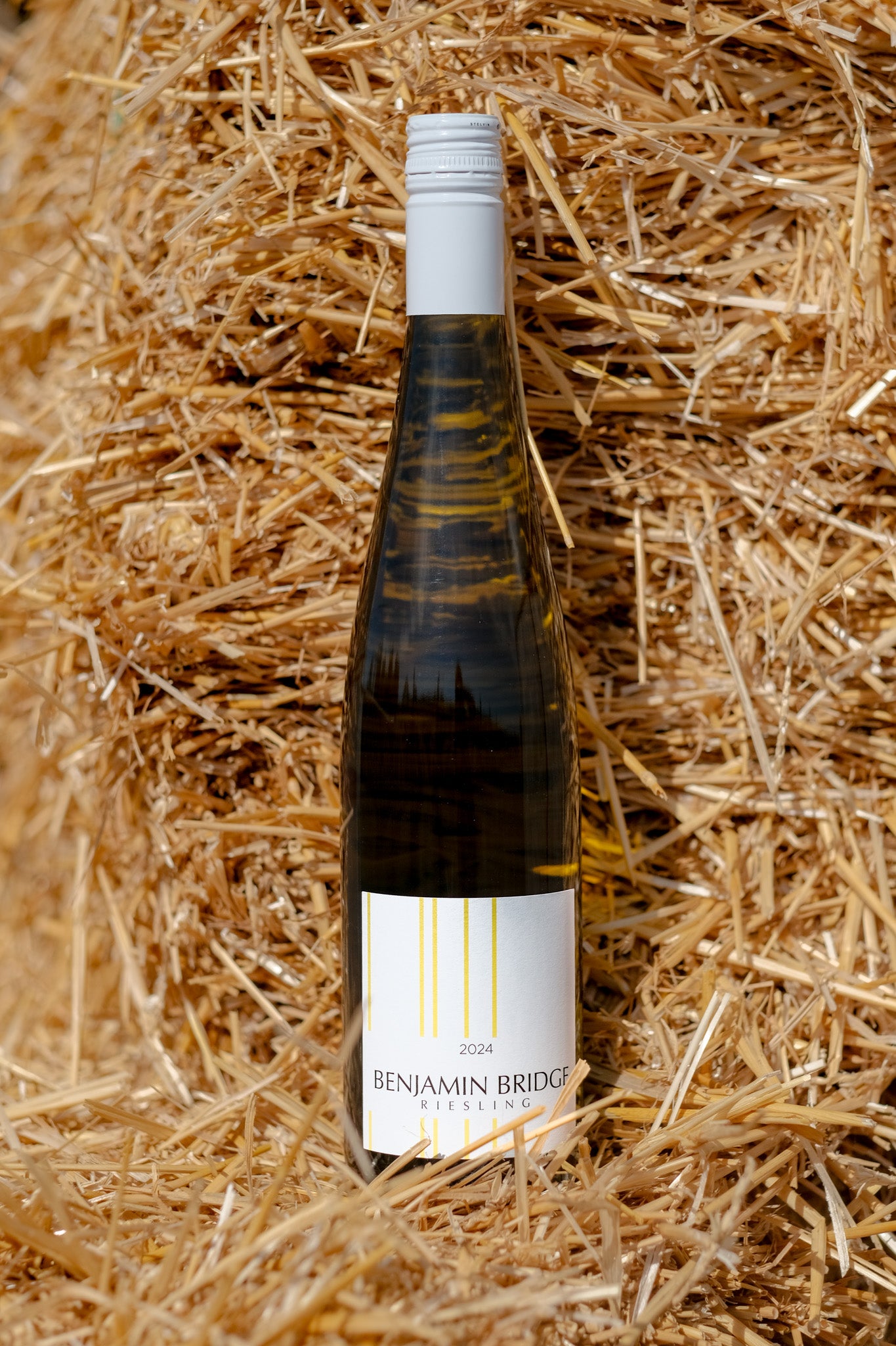 NEW | 2024 Riesling