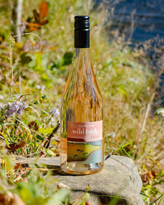 Wild Rock Rosé