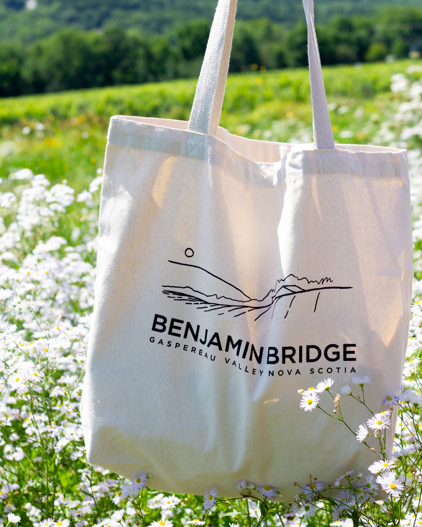 Benjamin Bridge Tote