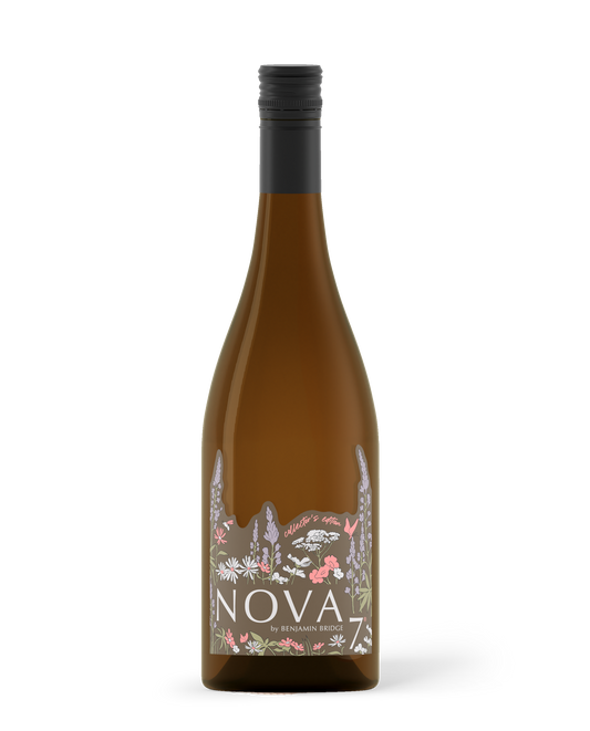 2024 Nova 7 Collector's Edition