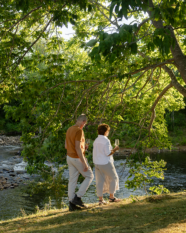 Self-Guided Vineyard Tour & Picnic