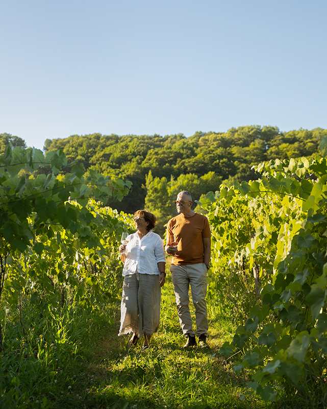 NEW | Self-Guided Vineyard Tour & Picnic Basket