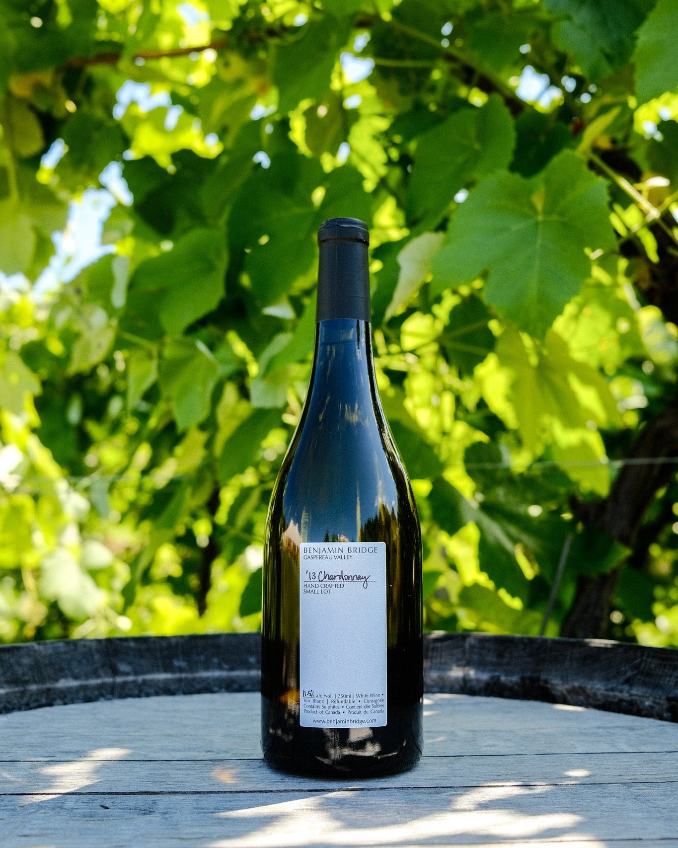 NEW | End Of Summer Cellar Drop
