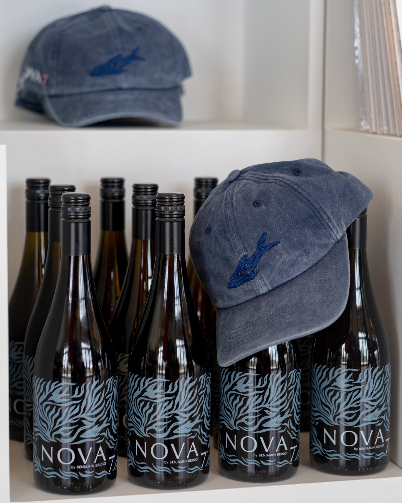 Casquettes Papa Édition Collector Nova 7
