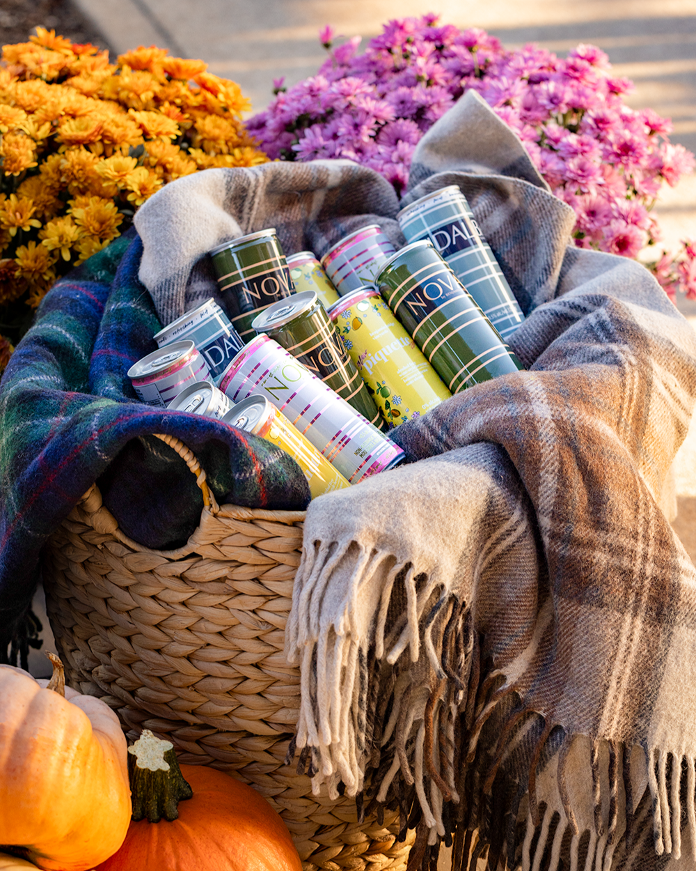 NEW | Autumn Picnic Pack