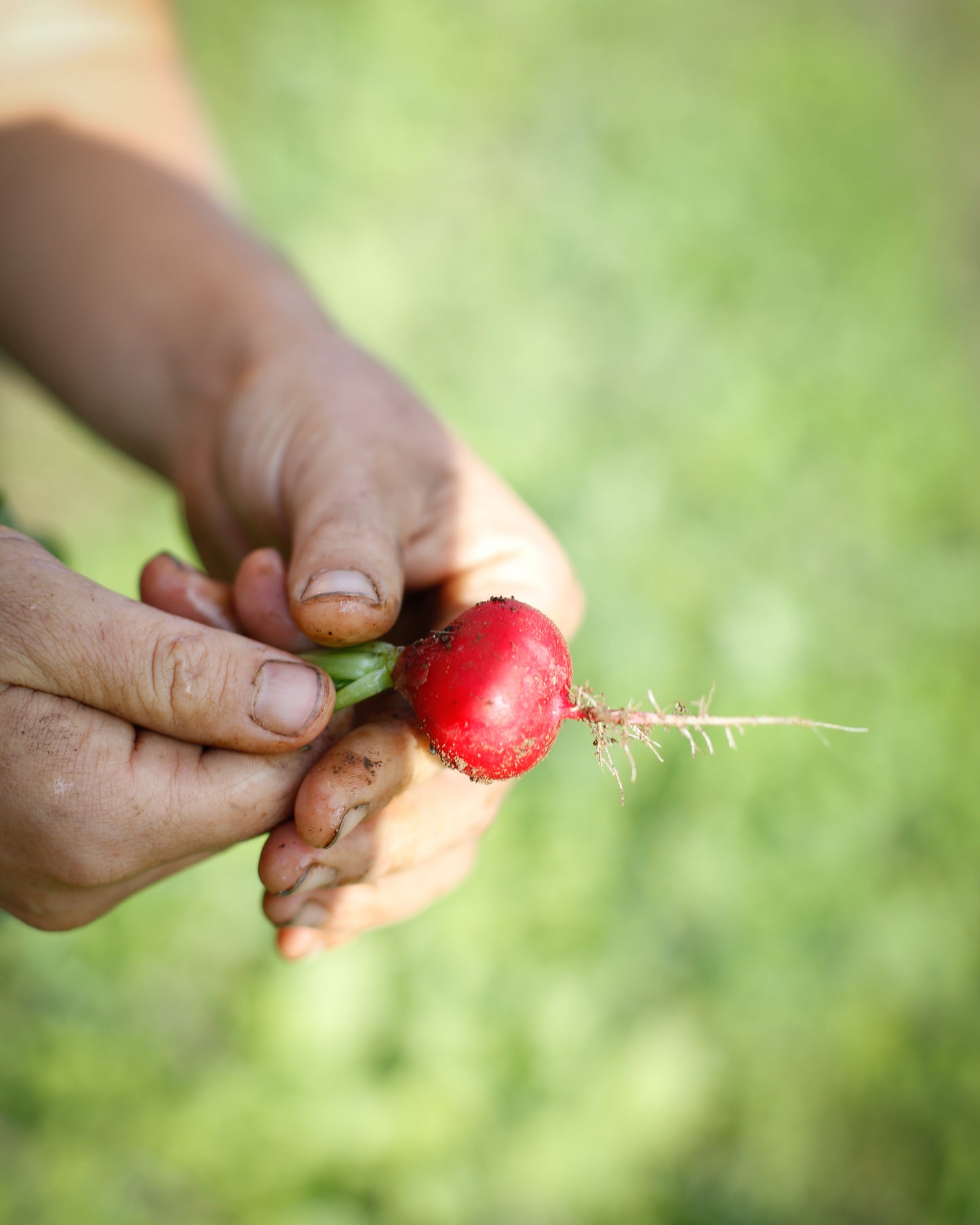 Biodiversity Harvest Tour