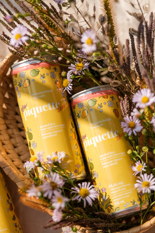 NEW | Piquette Zero Glow Cans, Case of 24