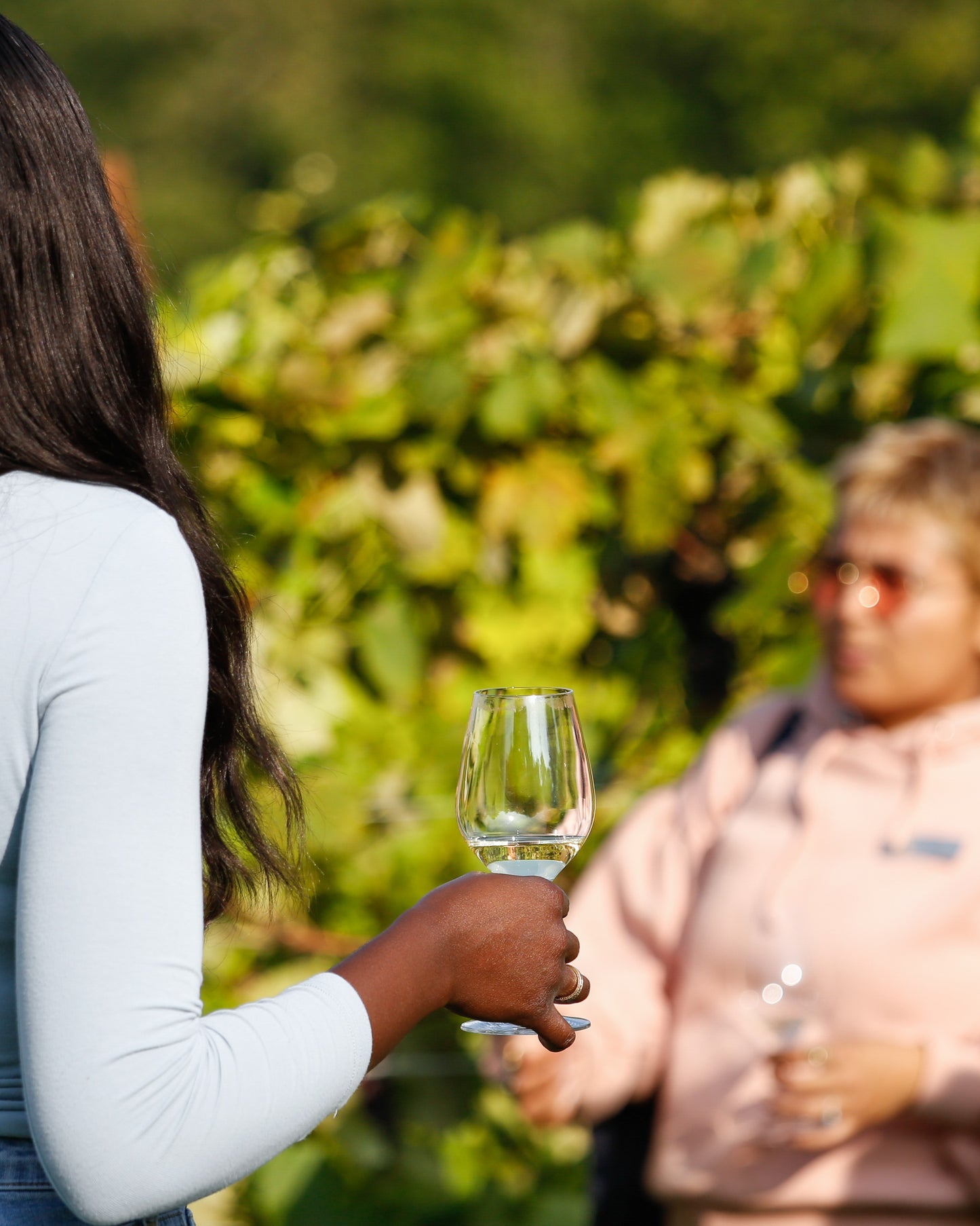 Biodiversity Tour | Wine-Led Walk Through Vines & Gardens