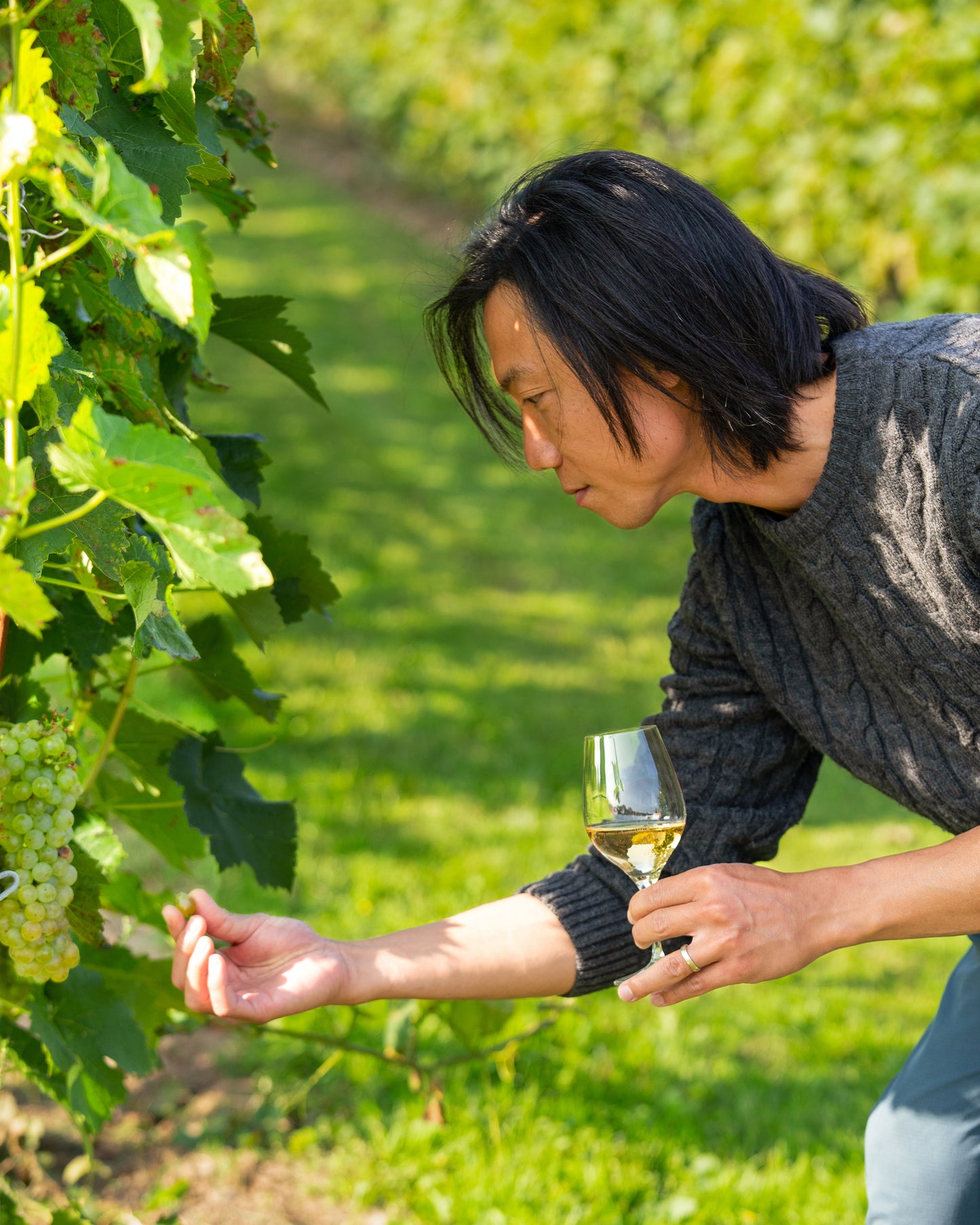 Harvest Vineyard Adventure | Garden Tour & Tasting (Sept - Nov)