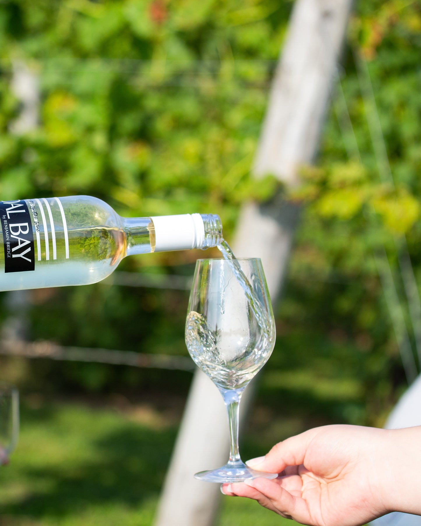 Harvest Vineyard Adventure | Garden Tour & Tasting (Sept - Nov)