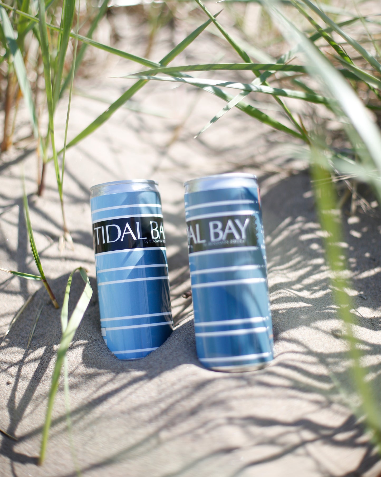 Cannes Tidal Bay 2025, carton de 12