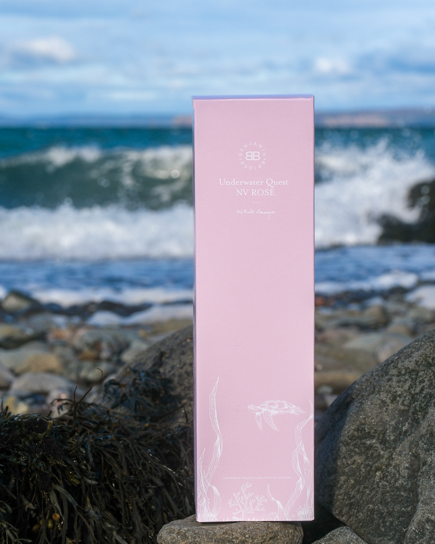 LIMITED RELEASE | NV Rosé Underwater Quest