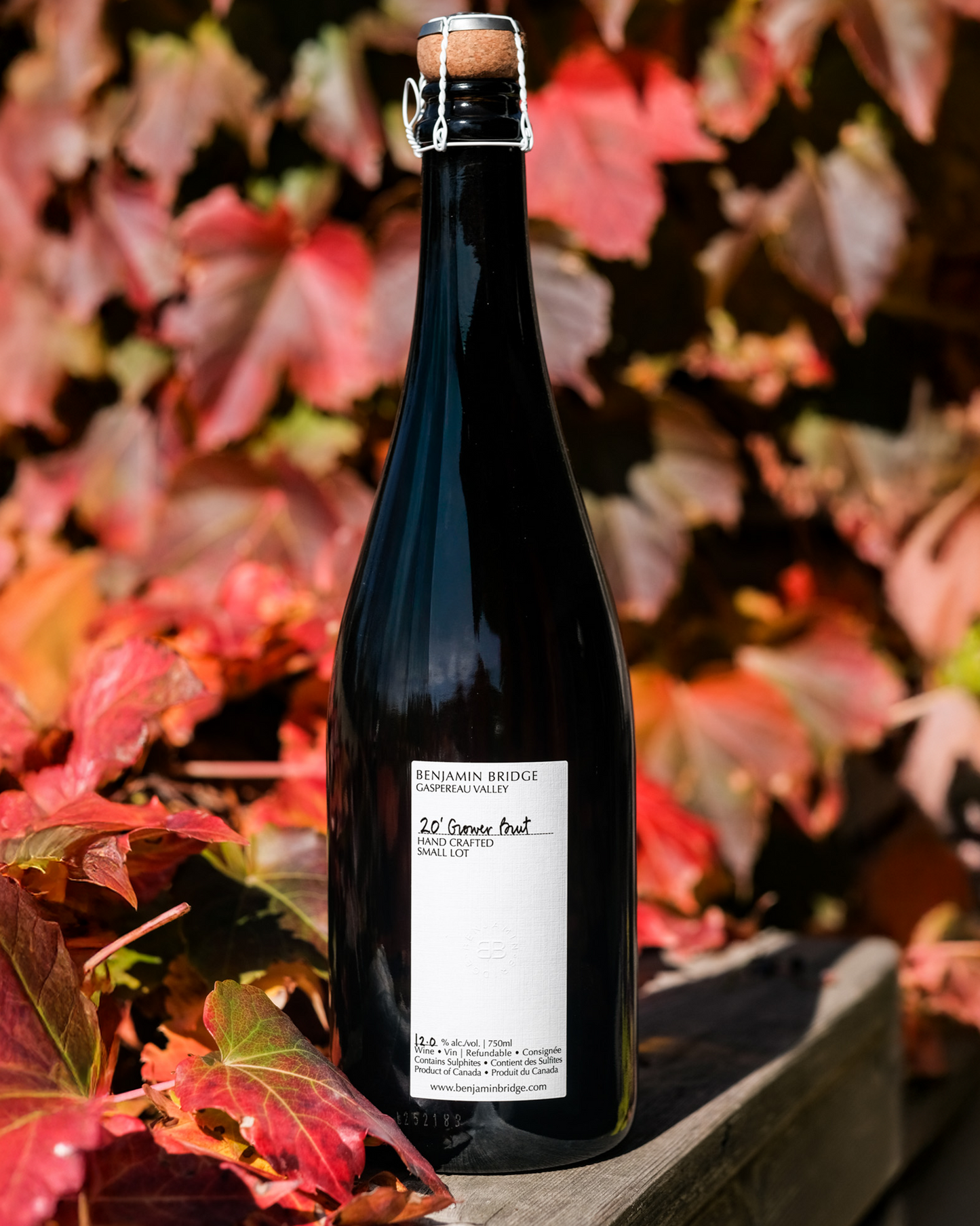 NEW | 2020 Grower Brut