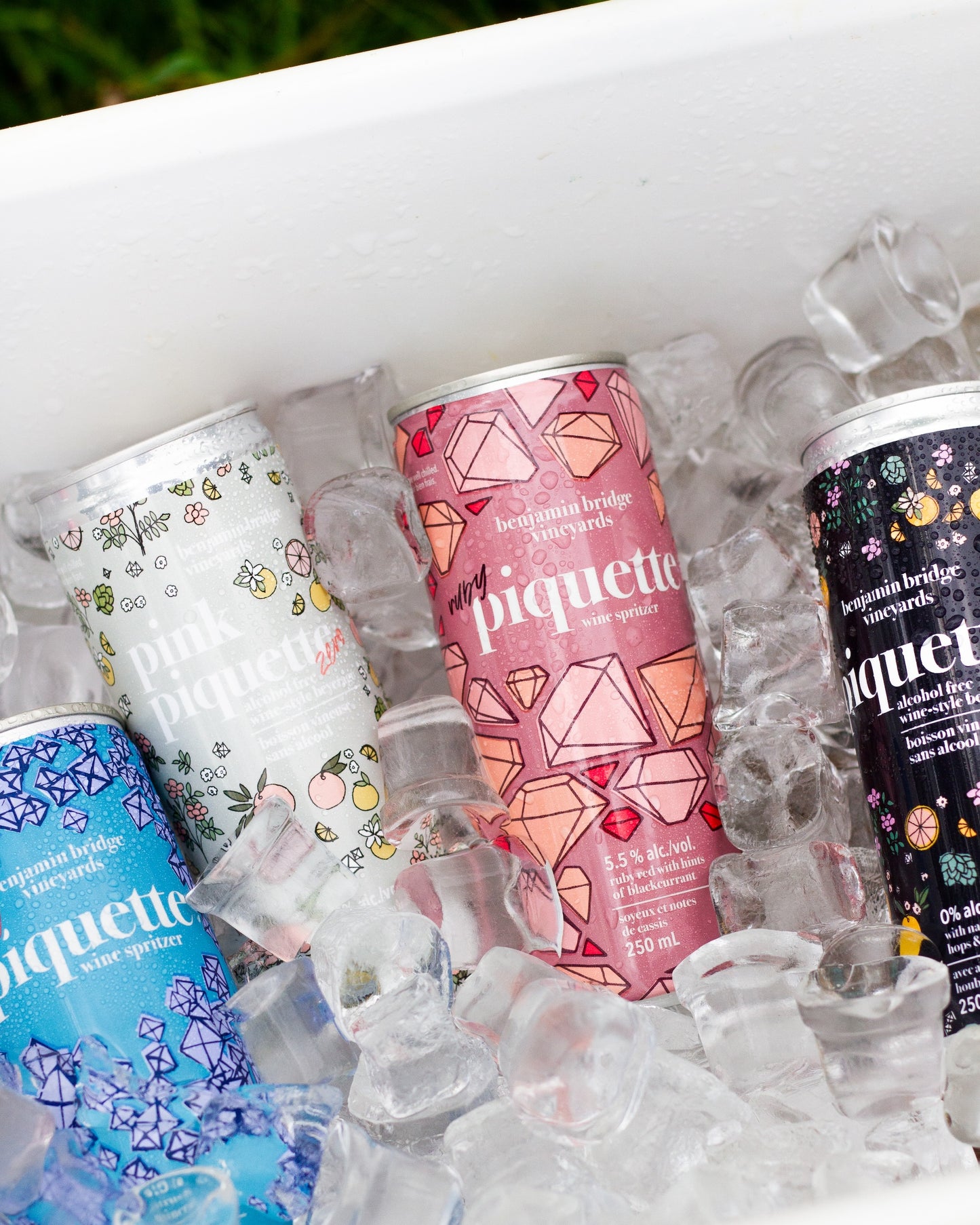 Ruby Piquette Cans, Case of 12