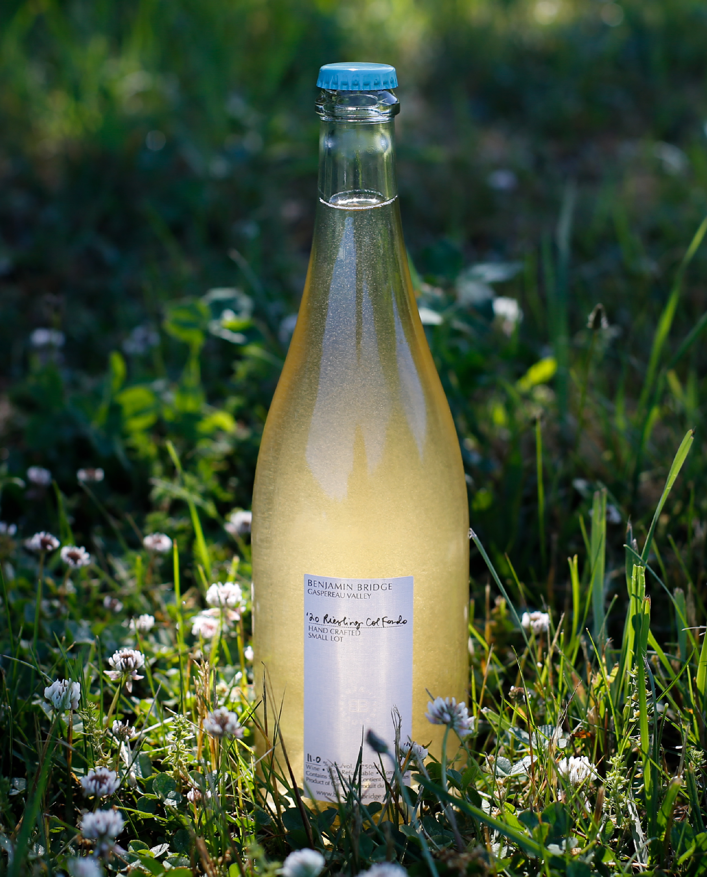 NEW | 2020 Riesling Col Fondo Magnum
