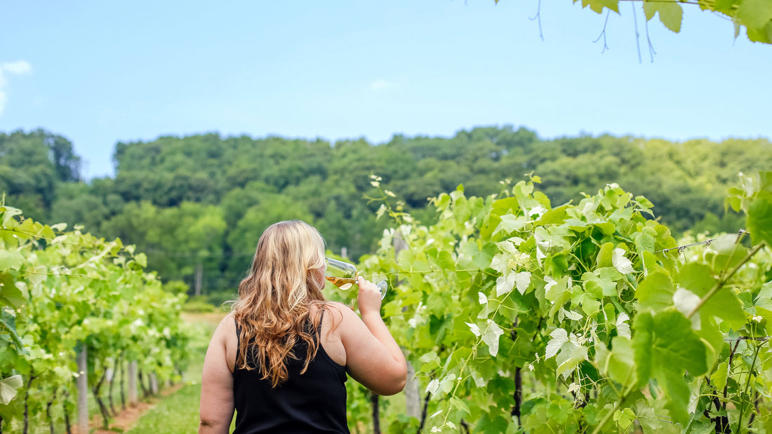 Your Quintessential Annapolis Valley Day Trip: Ten Experiences You Can’t Miss