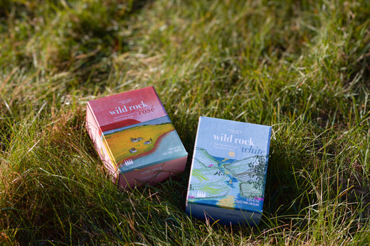 Two boxes of wine sit in the soft grass at sunset. Wild Rock Rosé is a pink box with an illustration of Cape Blomidon, Wild Rock White is a pale blue box with an illustration of the Gaspereau Valley.