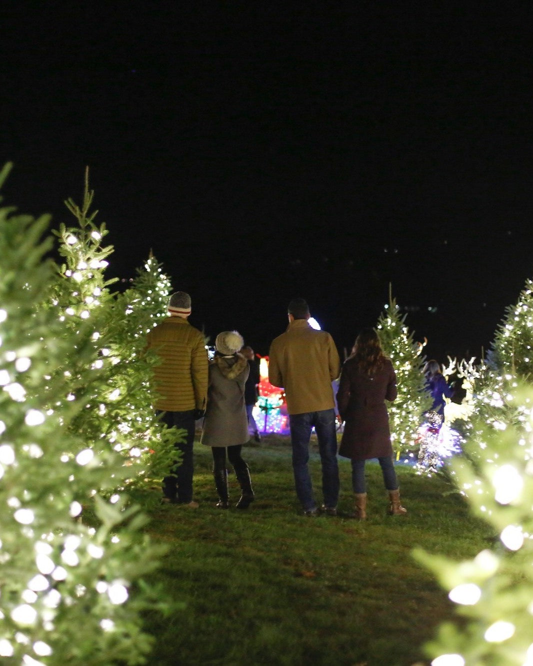 COCKTAILS & HOLIDAY LIGHTS | Saturday, November 22nd | 7pm to 9pm