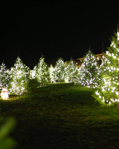 COCKTAILS & HOLIDAY LIGHTS | Saturday, November 22nd | 7pm to 9pm