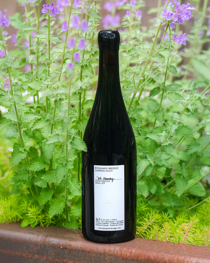 2024 Gamay