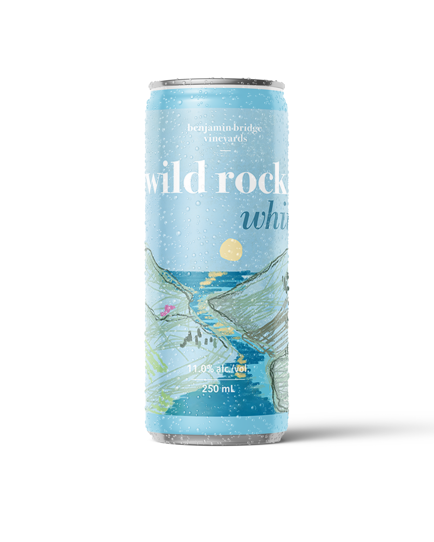 Canettes de rosé Wild Rock, carton de 12 