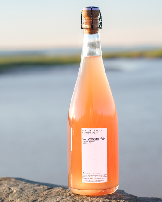 NEW | End Of Summer Cellar Drop