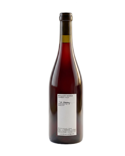 2024 Gamay