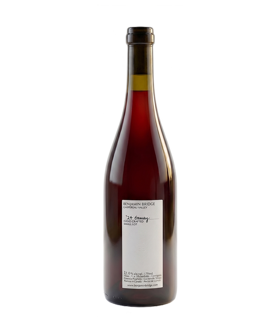 2024 Gamay