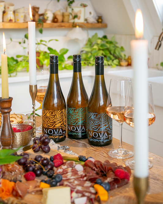 NEW | 2025 Nova 7 Collector's Edition