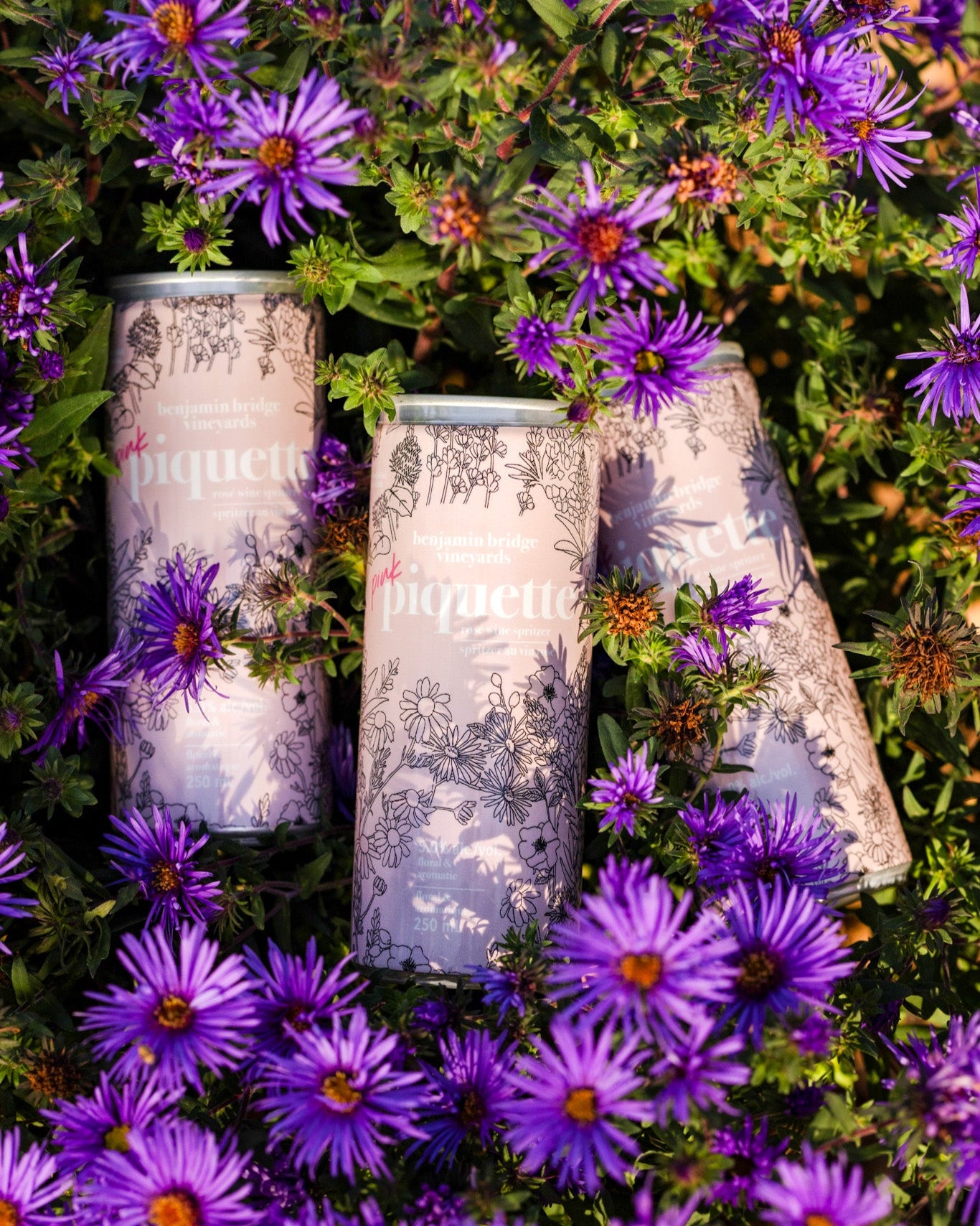 Pink Piquette Cans, Case of 12