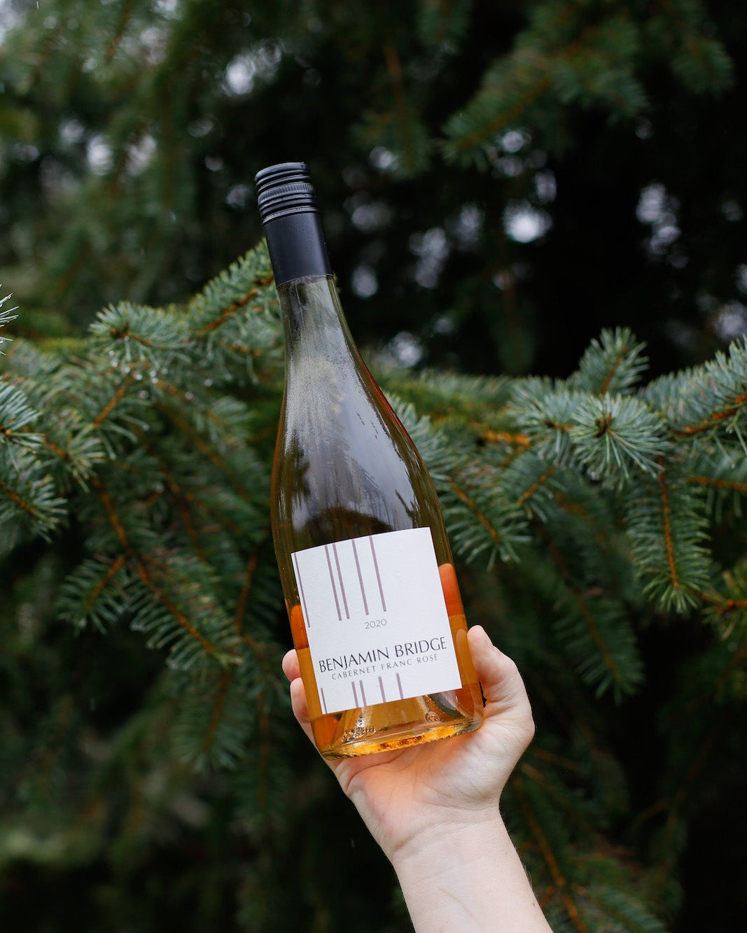 2024 Cabernet Franc Rosé