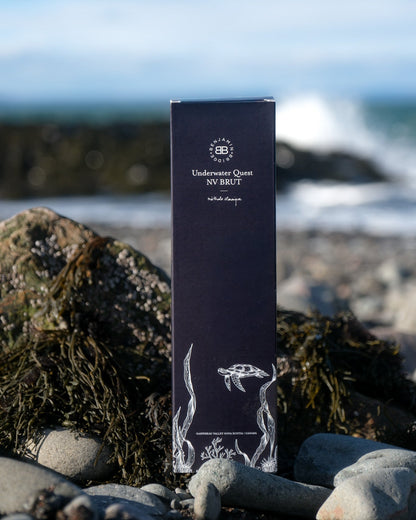 LIMITED RELEASE | NV Underwater Quest