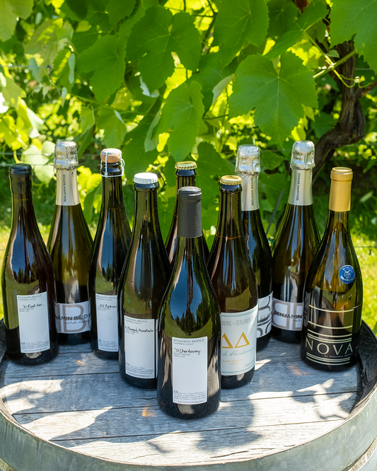 Limited-time offer | Summer Cellar Drop