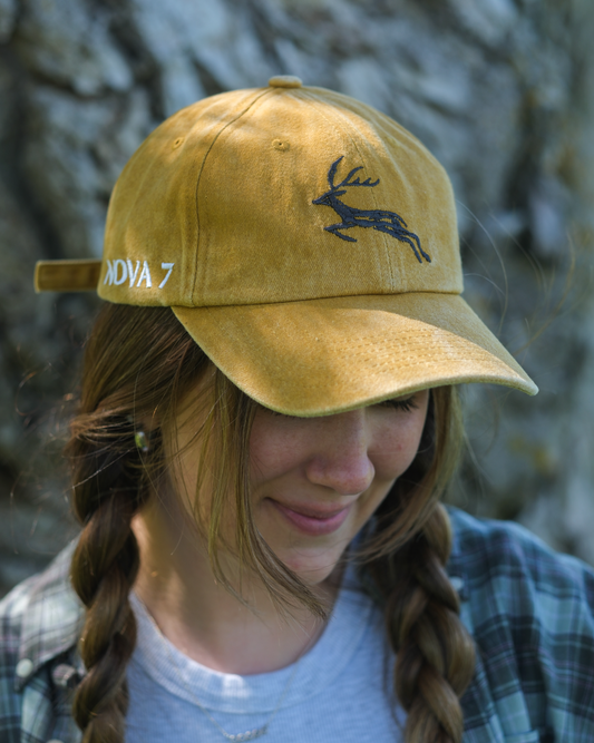 Casquettes Papa Édition Collector Nova 7