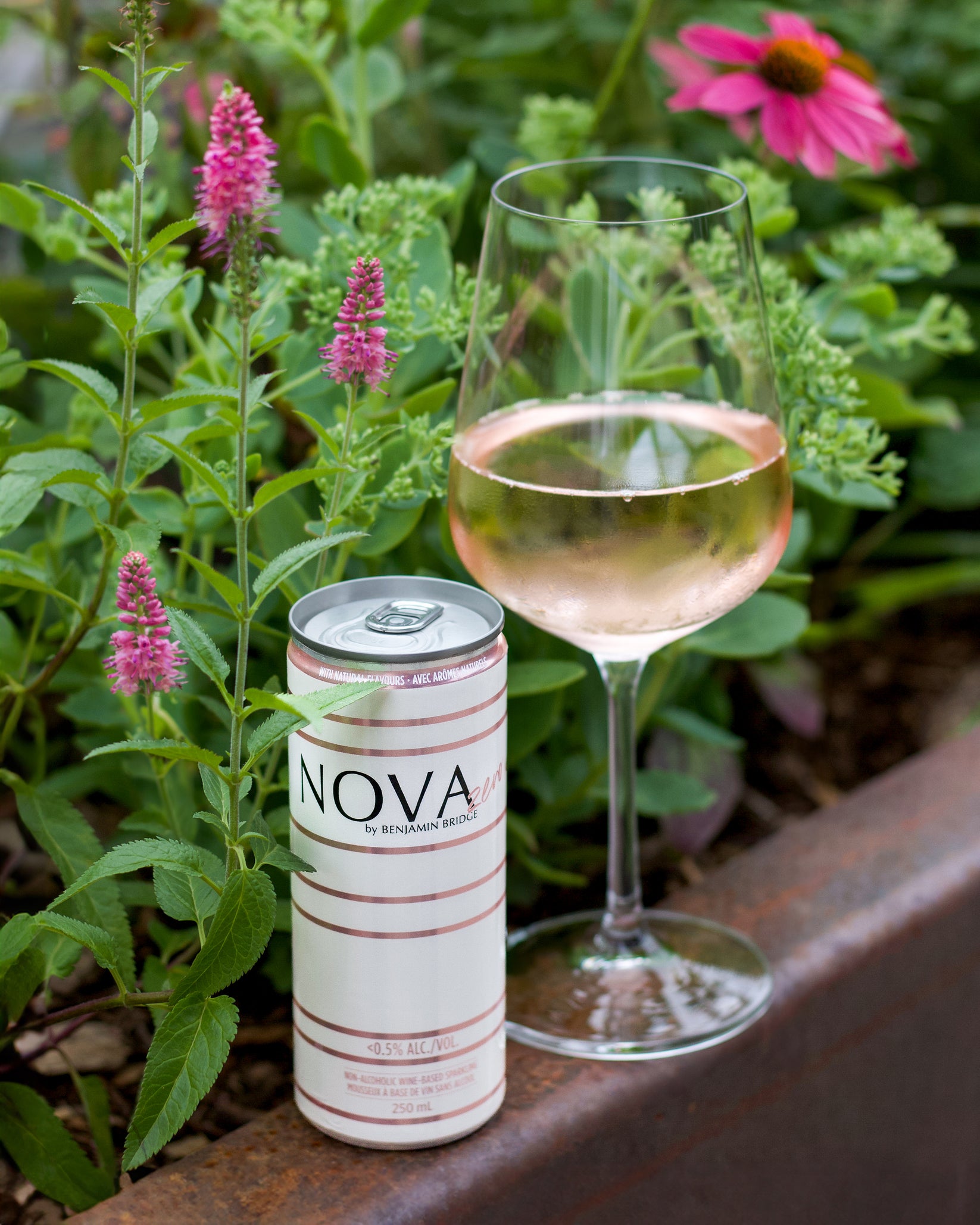 Nova Zero | Benjamin Bridge