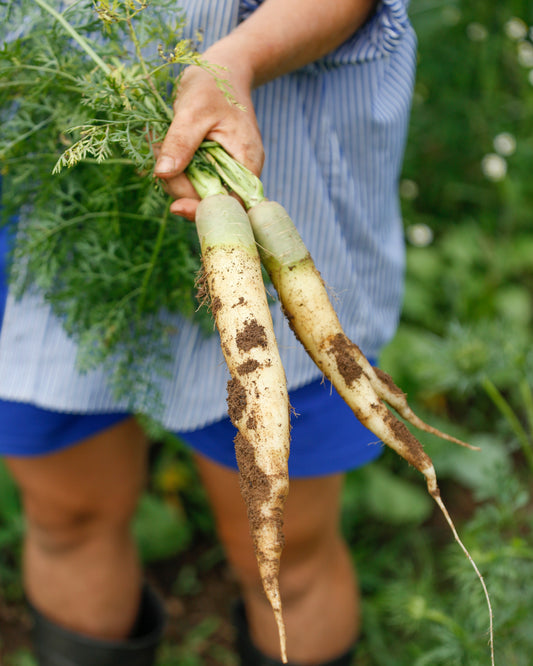 Biodiversity Harvest Tour
