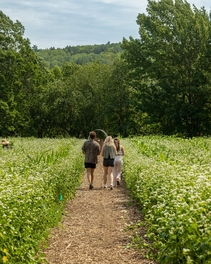 Biodiversity Tour | Wine-Led Walk Through Vines & Gardens