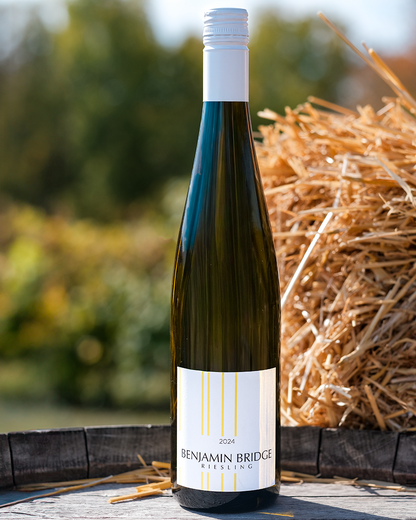 NEW | 2024 Riesling