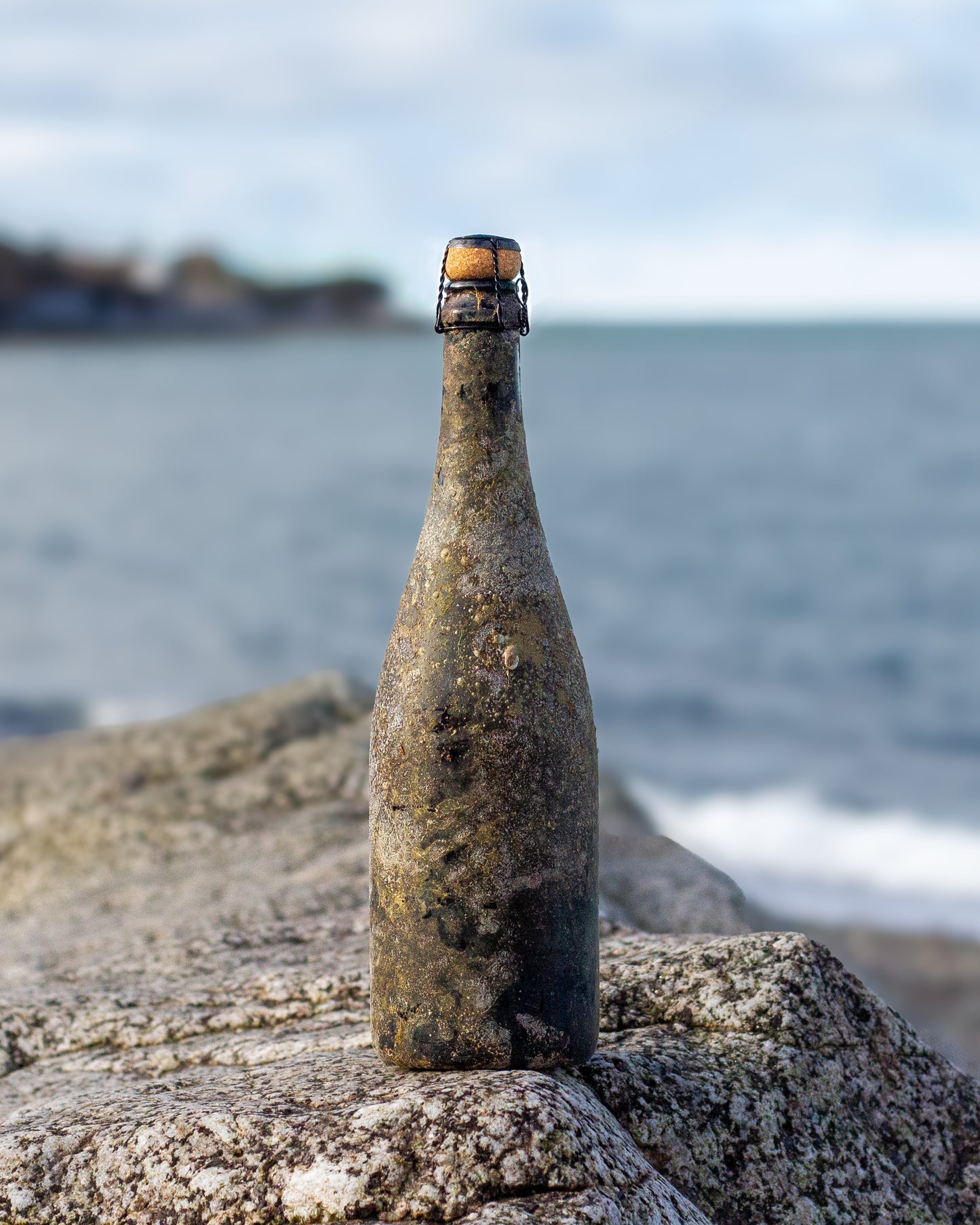 LIMITED OFFER | '18 Brut Underwater Quest