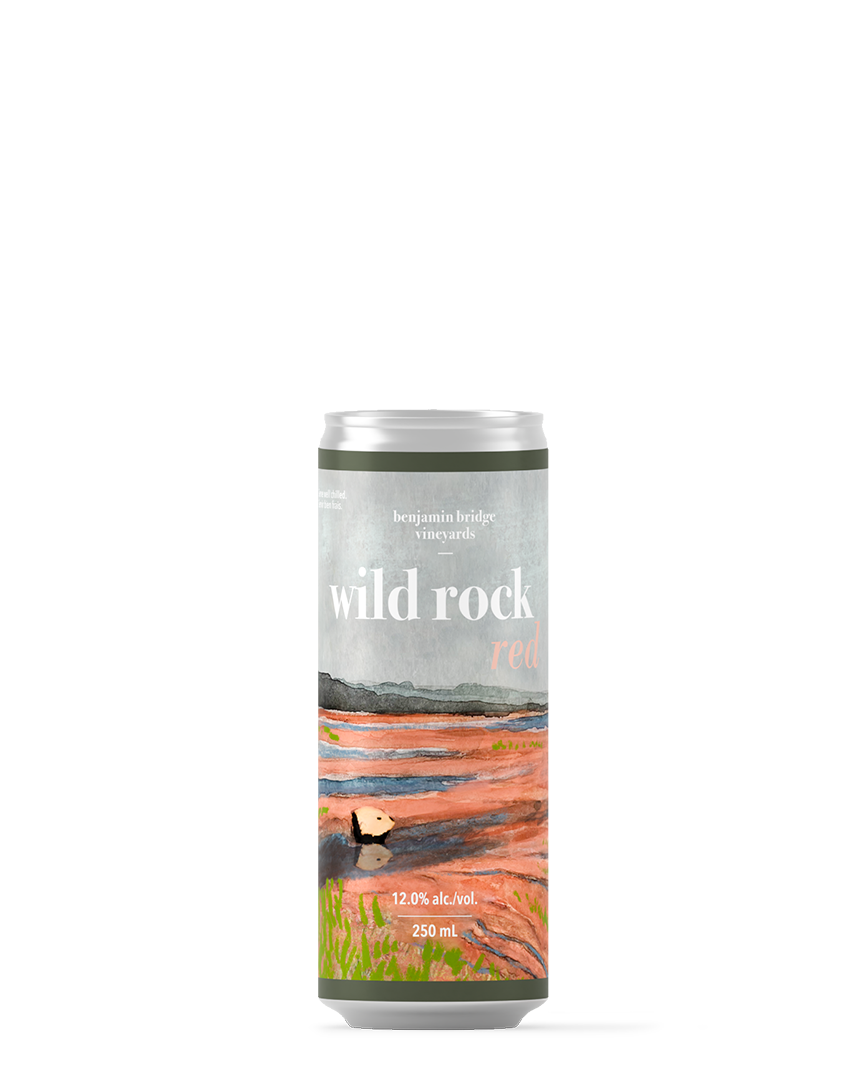 NEW | Wild Rock Red Cans, Case of 12