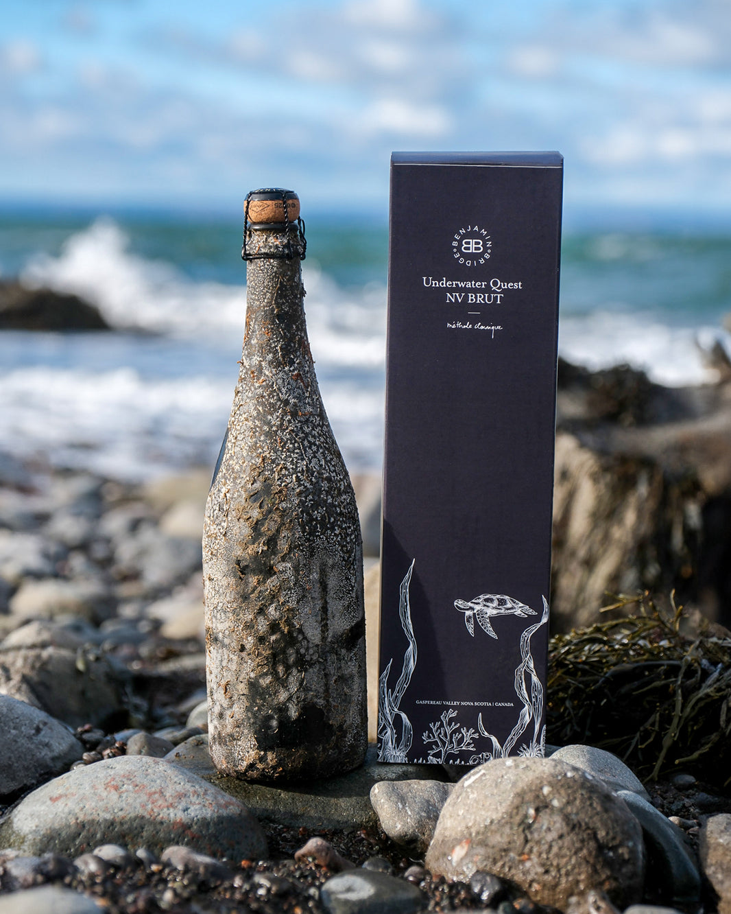 Shop Collection | Our Wines | Benjamin Bridge