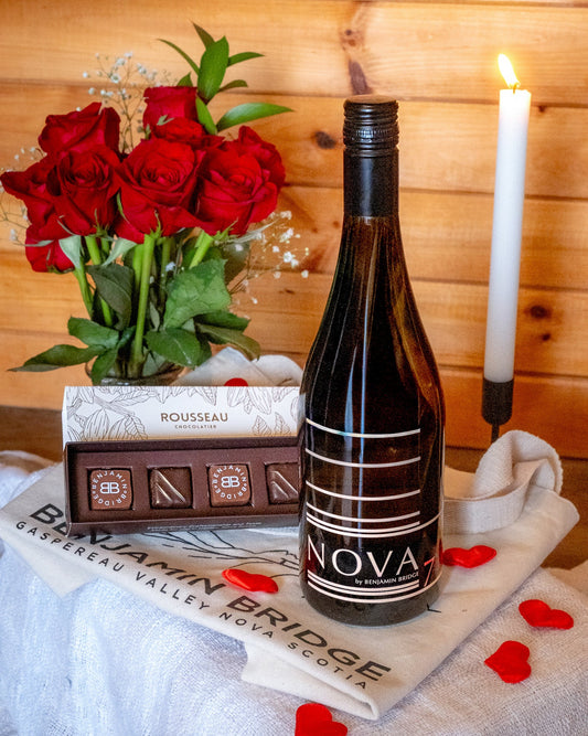 Valentine's Day Nova 7 Pack