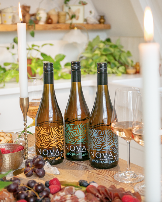 NEW | 2025 Nova 7 Collector's Edition