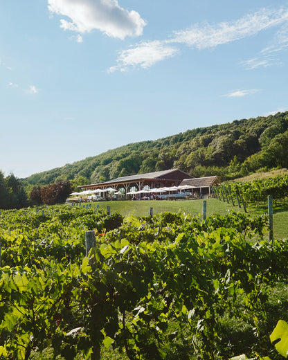 Maritime Kitchen Party | July 2026