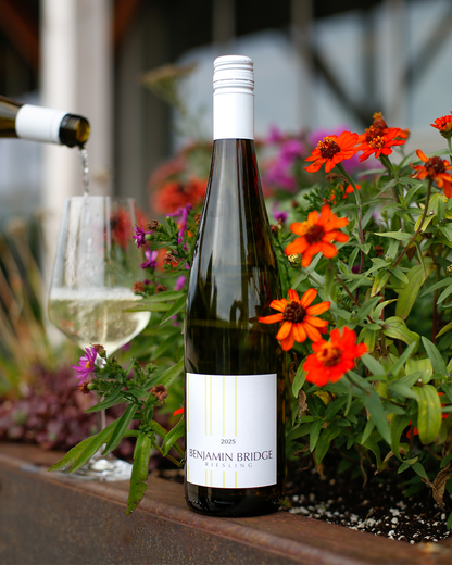 NEW | 2025 Riesling